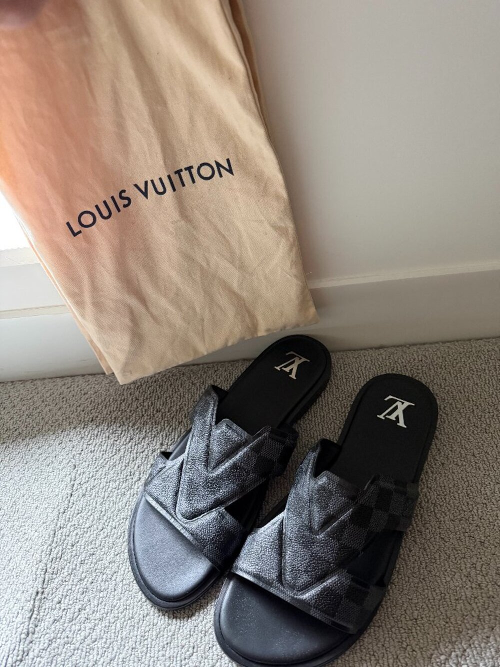 Louis Vuitton Oasis Mule Mens Sandals (Black)